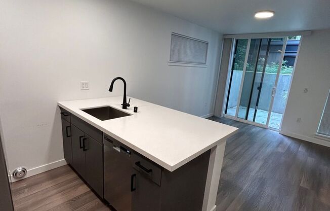 1 bed, 1 bath, 466 sqft, $1,595, Unit 203