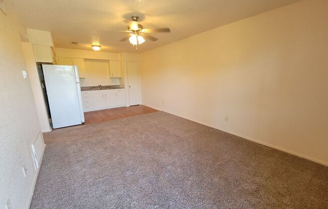 2 beds, 1 bath, 710 sqft, $925, Unit 206A