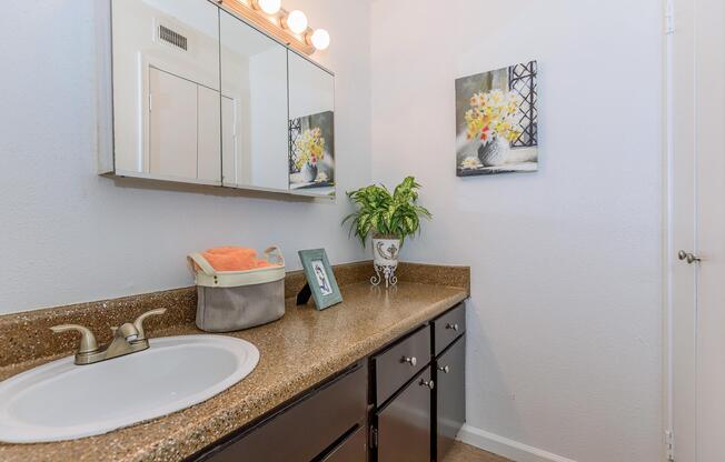 a counter with a sink and a mirror