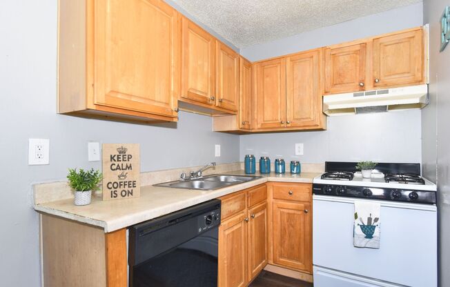 1 bed, 1 bath, 577 sqft, $869, Unit 0523