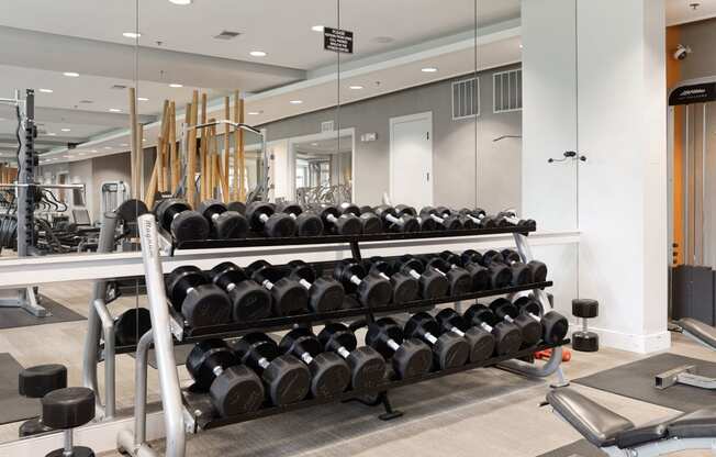 a row of weights in a gym with mirrors on the wall