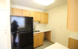 1 bed, 1 bath, 500 sqft, $1,800, Unit 3204