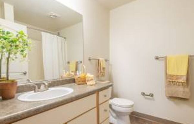 1 bed, 1 bath, 570 sqft, $1,390, Unit 215