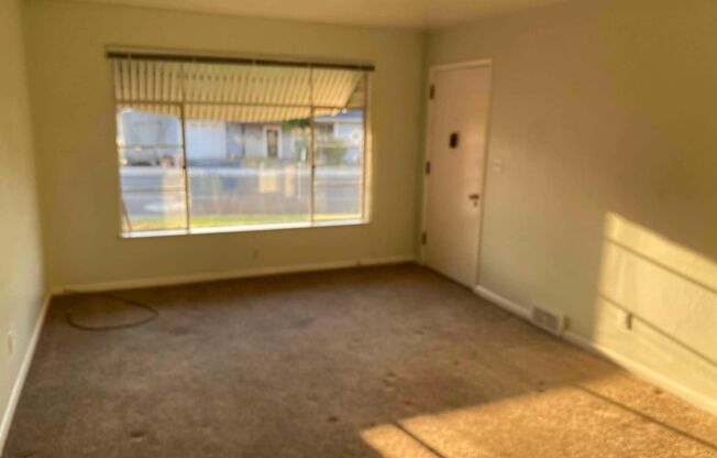 1 bed, 1 bath, $900, Unit KF2-D-TFS