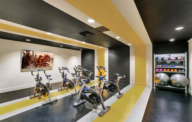 A gym with exercise bikes and a shelf of exercise balls.
