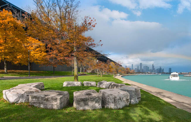 McCormick Place Chicago view of the lake with tree