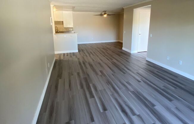 1 bed, 1 bath, 815 sqft, $2,395, Unit 145