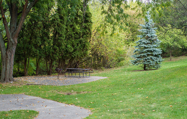 a picnic area in a park with a bench