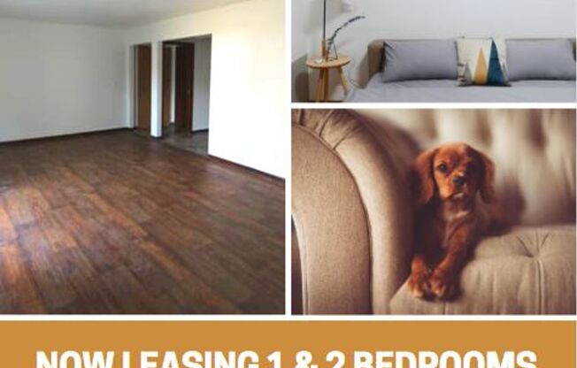 1 bed, 1 bath, 800 sqft, $810, Unit 117