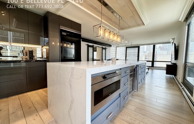 100 E Bellevue Pl, Chicago IL 12F