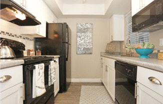 1 bed, 1 bath, 632 sqft, $1,100, Unit 1061