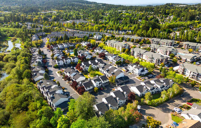 an aerial view of a neighborhood with houses and trees