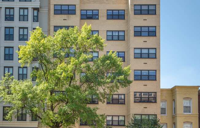 a tall building with a tree in front of it