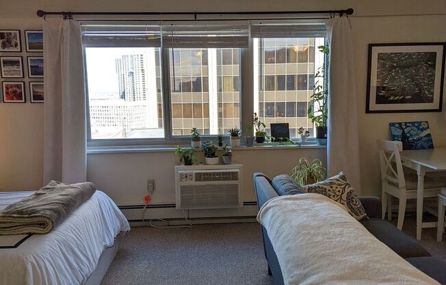 Studio, 1 bath, 431 sqft, $2,600, Unit 1503