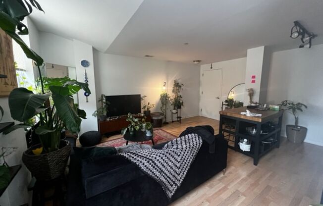 1 bed, 1 bath, $1,699, Unit 401