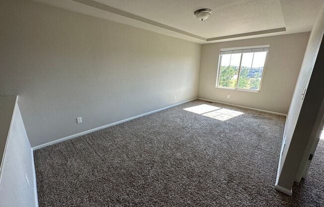 3 BED 3 BATH WITH STUNNING VIEW OF PIKES PEAK LOCATED IN BANNING LEWIS RANCH!!!!!!