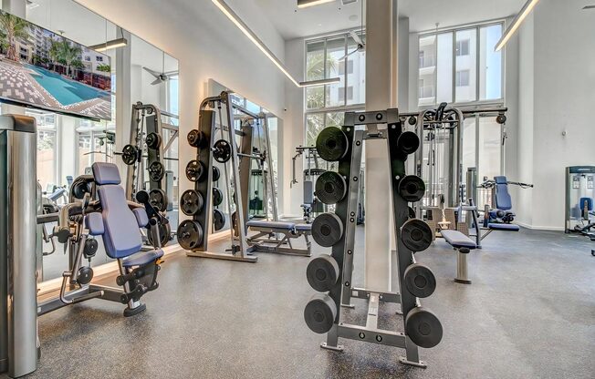 Full Fitness Studio with Weights