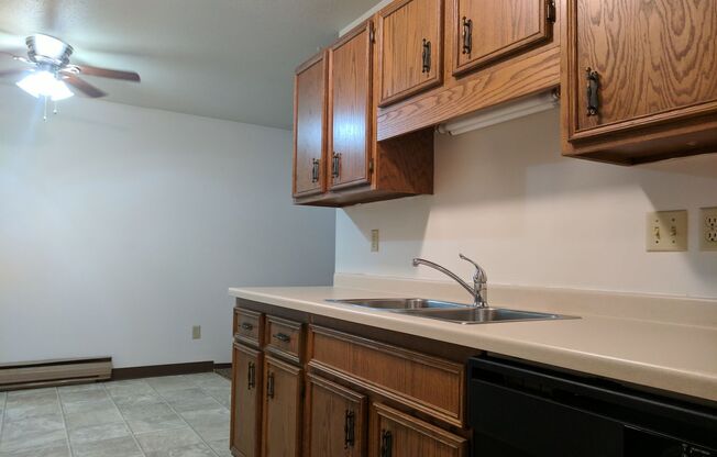 Silver Leaf Apartments