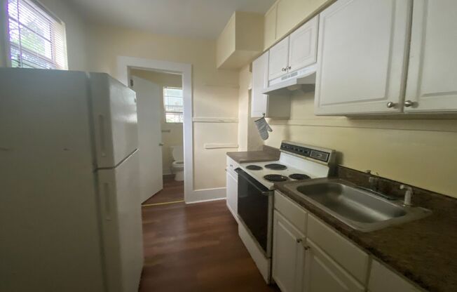 Large Brand New - One Bedroom (2 blocks from Historic Distr.)