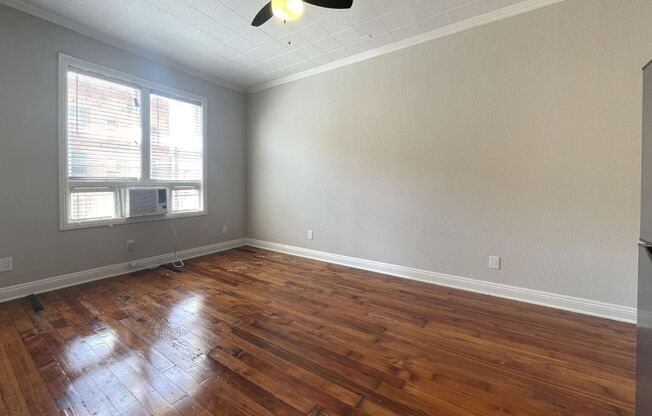 Studio, 1 bath, 300 sqft, $1,250, Unit 207