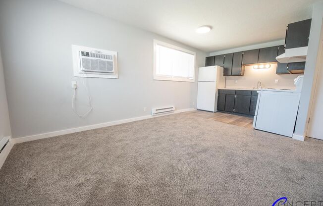 1 bed, 1 bath, 480 sqft, $899, Unit 203