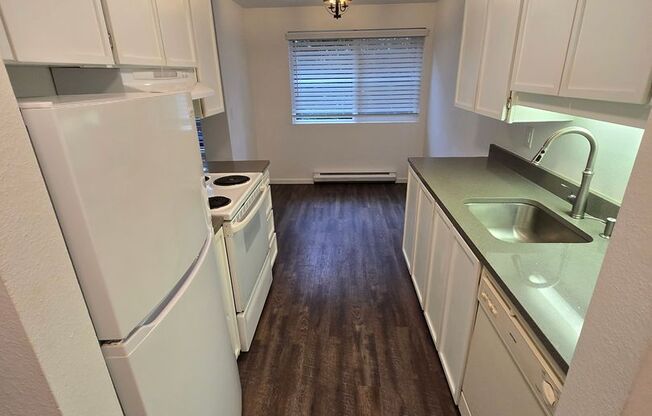 1 bed, 1 bath, 732 sqft, $1,899, Unit #101