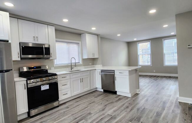 Brand new rehab luxury coach house in Albany Park