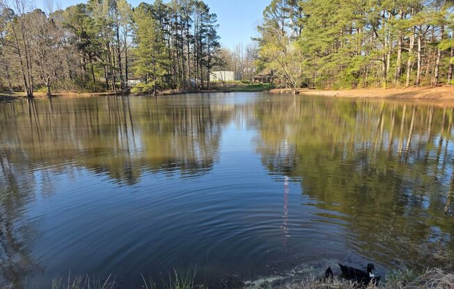 109 Stanford Circle Apt 10-A