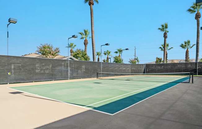 Barton Vineyard Apartments - Tennis court