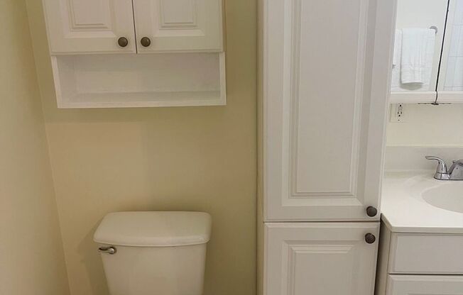 Studio, 1 bath, $1,495, Unit 119