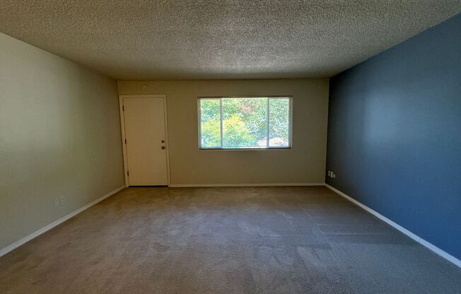 Studio, 1 bath, 375 sqft, $1,075, Unit 108