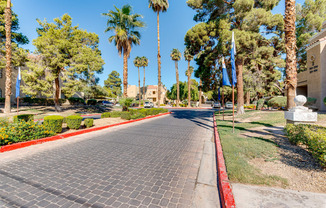 a paved street with palm trees on both sides