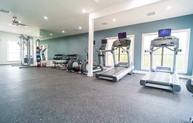 the gym is fully equipped with cardio equipment and weights