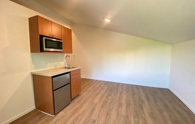 Studio, 1 bath, 175 sqft, $1,450, Unit 4511