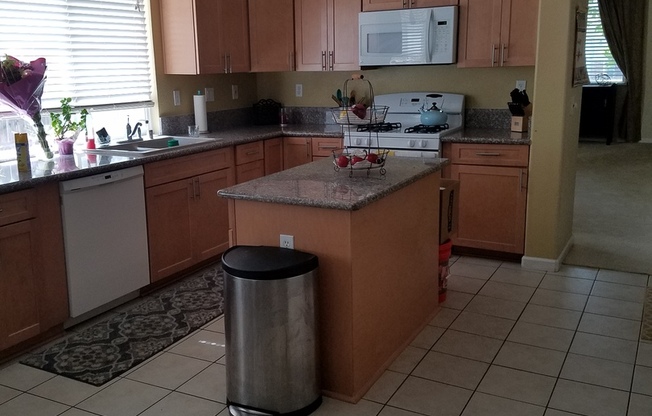 Stunning 4/2 Natomas Single Story!  PLEASE READ ENTIRE AD PRIOR TO CONTACTING AGENT FOR VIEWING.