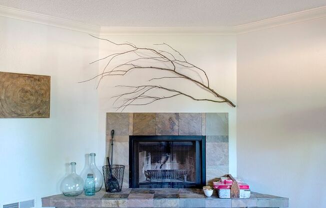 Super fun remodeled Apartment