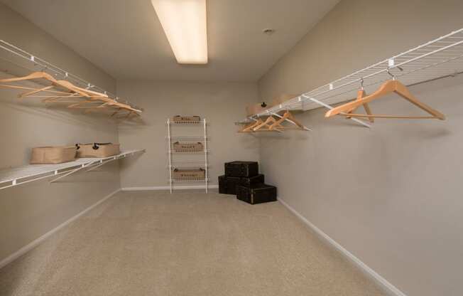 Apartment's walk-in closet with built-in shelving