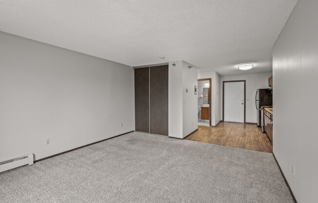 Studio, 1 bath, 445 sqft, $1,070, Unit 335