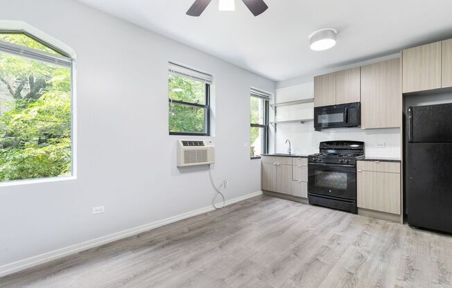 Studio, 1 bath, 242 sqft, $1,550, Unit 203