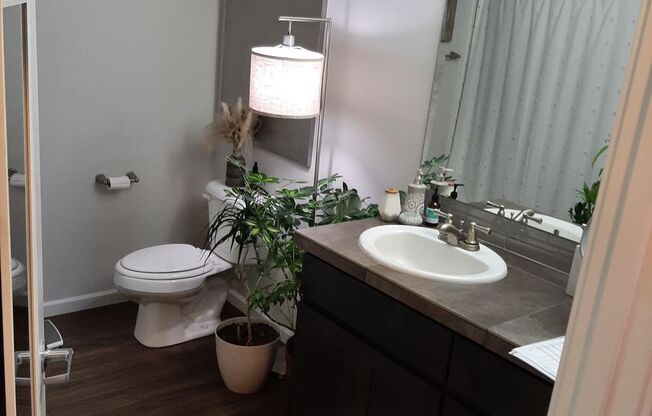 2 beds, 2 baths, 1,028 sqft, $1,900, Unit 20-250