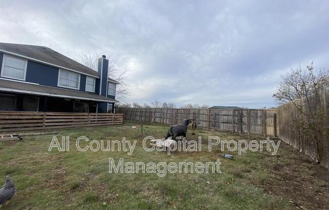 550 BRITNI LOOP