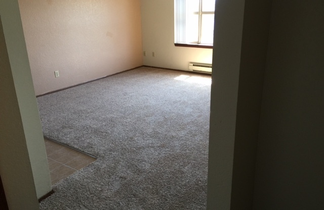 1 bed, 1 bath, 459 sqft, $895, Unit 1121-407