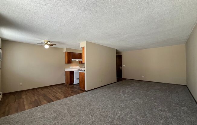 1 bed, 1 bath, 800 sqft, $919, Unit 110