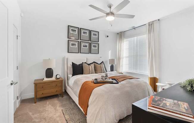 A bedroom with a large bed, a ceiling fan, and a nightstand with a lamp.