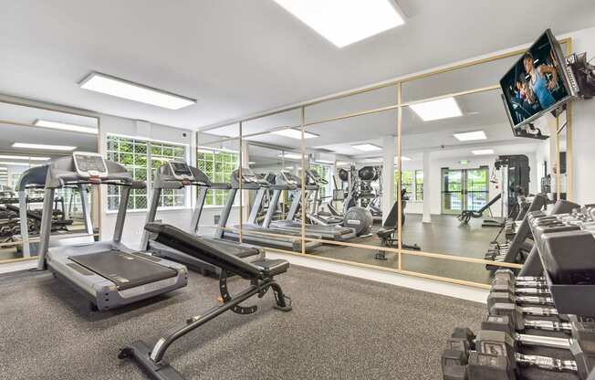 a gym with cardio machines and weights and a flat screen tv