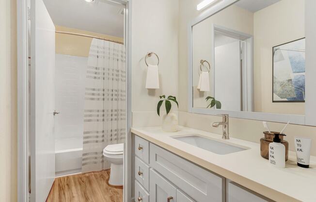 a bathroom with a sink and a mirror and a shower