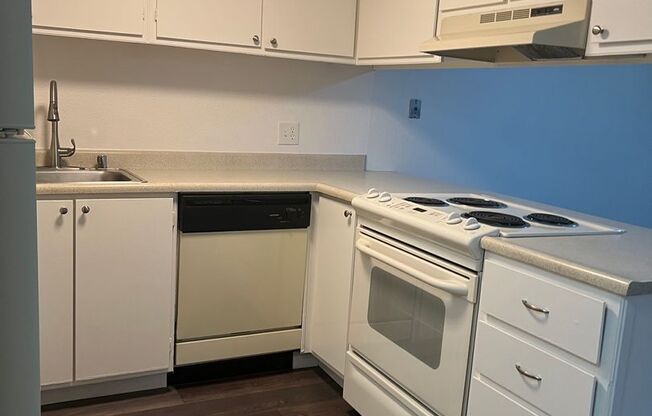 1 bed, 1 bath, 725 sqft, $1,425, Unit 31-11