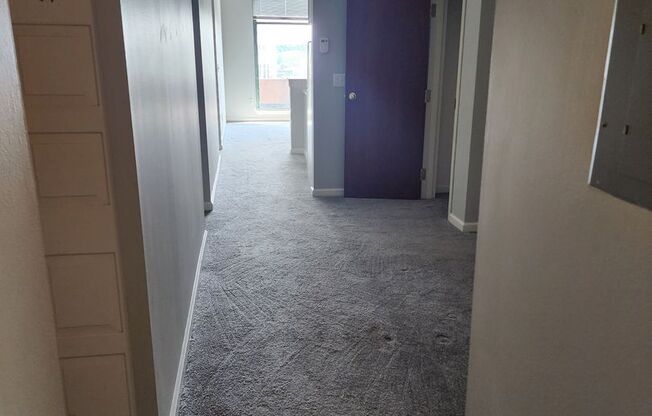 Studio, 1 bath, 415 sqft, $949, Unit 401