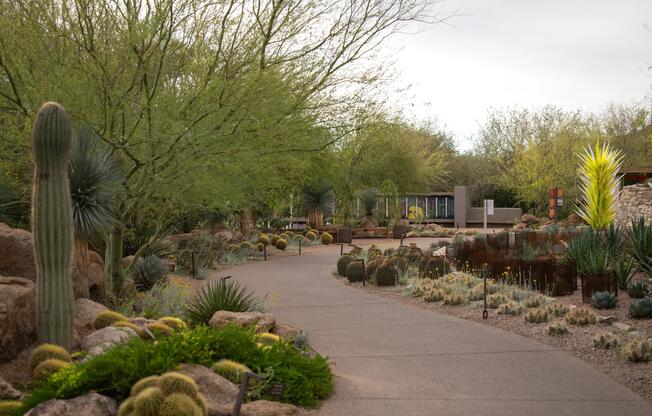 Scenic desert trails and lush botanical paths—everyday escapes near Modera Rio Salado in Tempe.