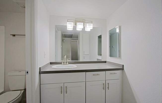 a bathroom with a sink and a mirror and a toilet